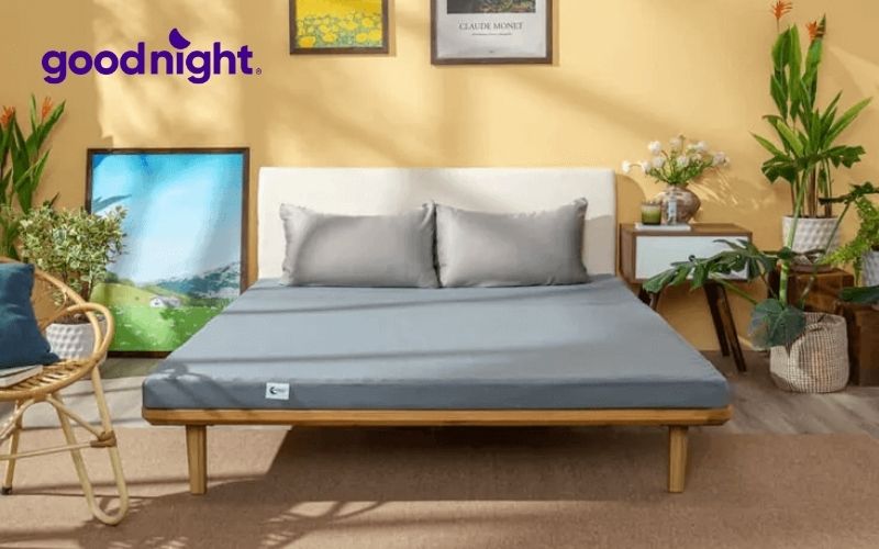 Nệm nâng đỡ tốt giúp bạn trải qua đầy đủ các giai đoạn của giấc ngủ