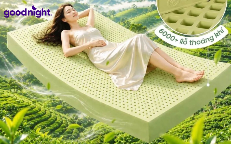 Nệm 1m6x2m: Bảng giá & TOP 7 mẫu nệm chất lượng 3 Nệm cao su 1m6x2m