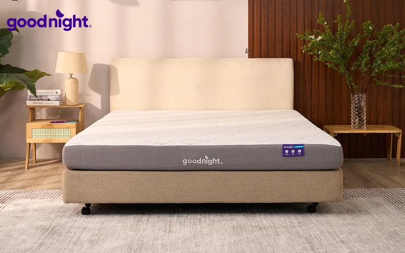 Nệm 1m6x2m: Bảng giá & TOP 7 mẫu nệm chất lượng 5 Nệm đa tầng 1m6x2m