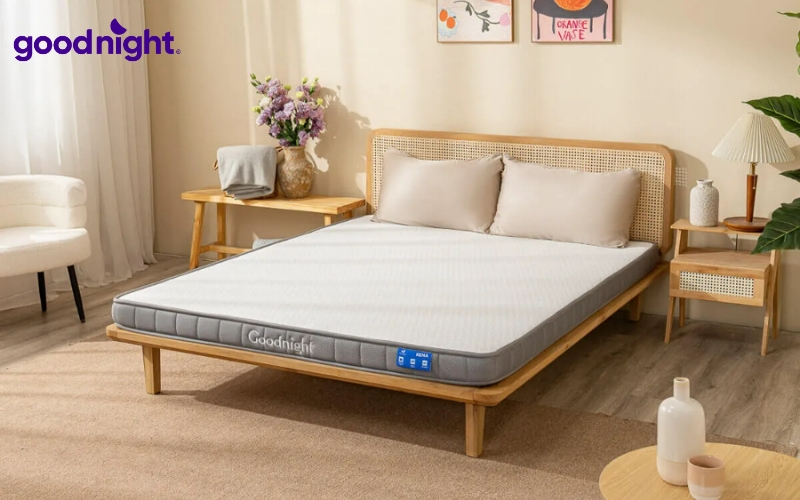 Nệm 1m6x2m: Bảng giá & TOP 7 mẫu nệm chất lượng 7 Goodnight Latex Hybrid (Rena)