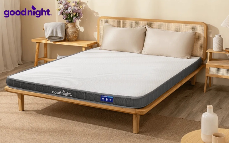 Top 10 mẫu nệm êm ái tốt cho sức khoẻ, không đau lưng 6 Goodnight Latex Hybrid Rena