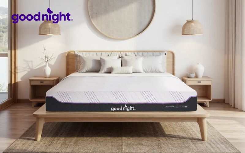 Các dòng nệm Goodnight sẽ giúp cơ thể thư giãn và tạo điều kiện cho quá trình trao đổi chất hoạt động hiệu quả hơn