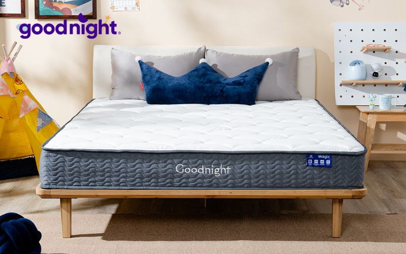 Goodnight cung cấp các dòng nệm chất lượng, ôm sát cơ thể, phân tán áp lực tốt và độ bền cao, rất phù hợp cho những ai yêu thích tư thế nằm ngử