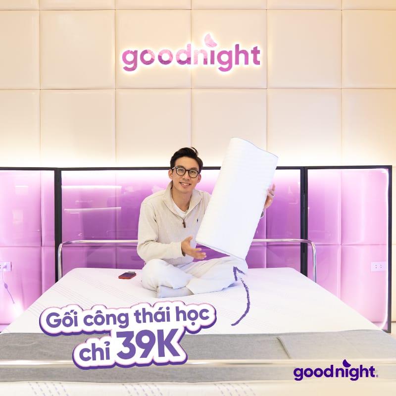 Gối công thái học Nori giá chỉ 39.000 đồng