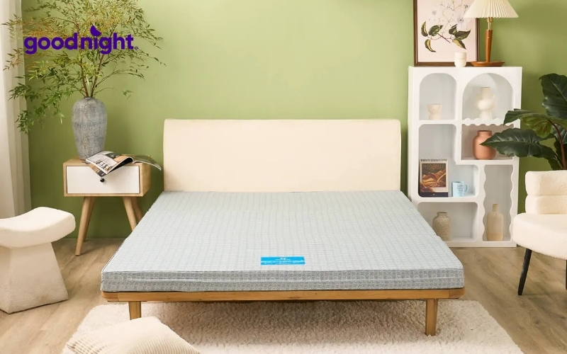 Nệm bông ép 9cm: TOP 5 mẫu đáng mua, kèm bảng giá chi tiết 5 Đệm bông ép Wonjun Pure Carbon