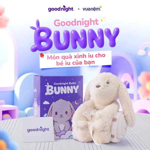Bộ chăn thú bông Goodnight Bebé Bunny 1 0RTyDLgOkJ4PFP2za0HB3pODr0I75UDQYWSUuGbO 11zon