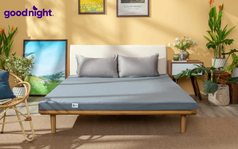 Nệm cao su đa tầng Goodnight Latex Hybrid
