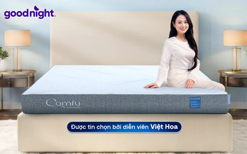 Comfy Cloud 2.0