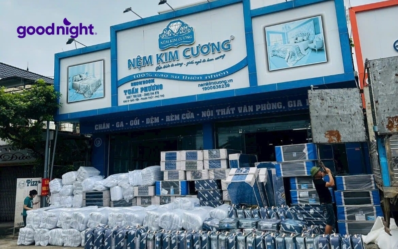 TOP 10 cửa hàng nệm bông ép TPHCM giá rẻ, chất lượng tốt 3 Kim Cương