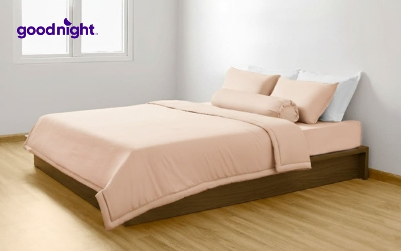 TOP 10 cửa hàng nệm bông ép TPHCM giá rẻ, chất lượng tốt 4 Chagota