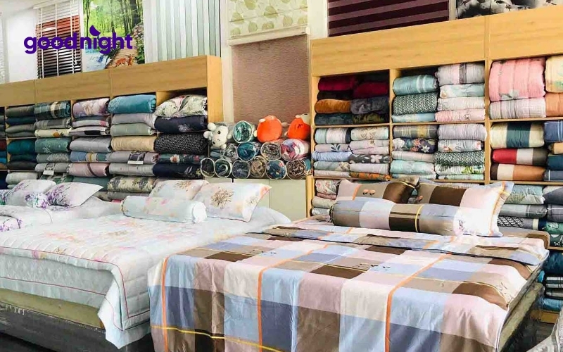 TOP 10 cửa hàng nệm bông ép TPHCM giá rẻ, chất lượng tốt 6 Lasante'