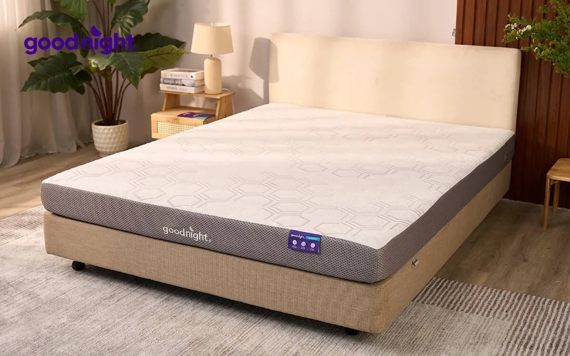 Tổng hợp các kích thước nệm tiêu chuẩn, được sử dụng rộng rãi 4 Phòng ngủ vừa và phổ thông (Từ 10m2 đến 15m2)