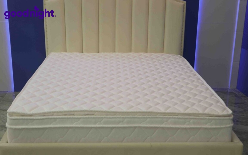 TOP 10 địa chỉ mua đệm cao su tại Hà Nội giá tốt, uy tín 5 Trường Thảo