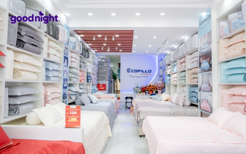 TOP 10 địa chỉ mua nệm cao su tại TPHCM chất lượng, giá tốt 5 ECOPILLO