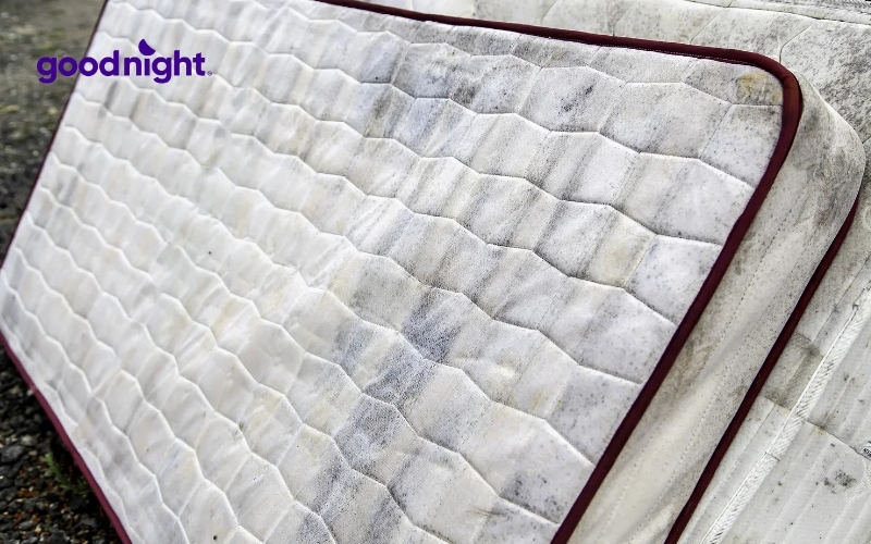 TOP 7 địa chỉ thu mua nệm cũ tại nhà TPHCM chuyên nghiệp 6 Cửa hàng đồ cũ Tuấn Đạt