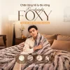 Foxy