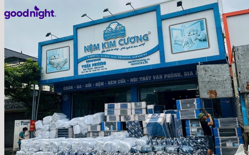 TOP 12 cửa hàng nệm Quận 9 uy tín, chất lượng và kinh nghiệm chọn nệm 5 Kim Cương