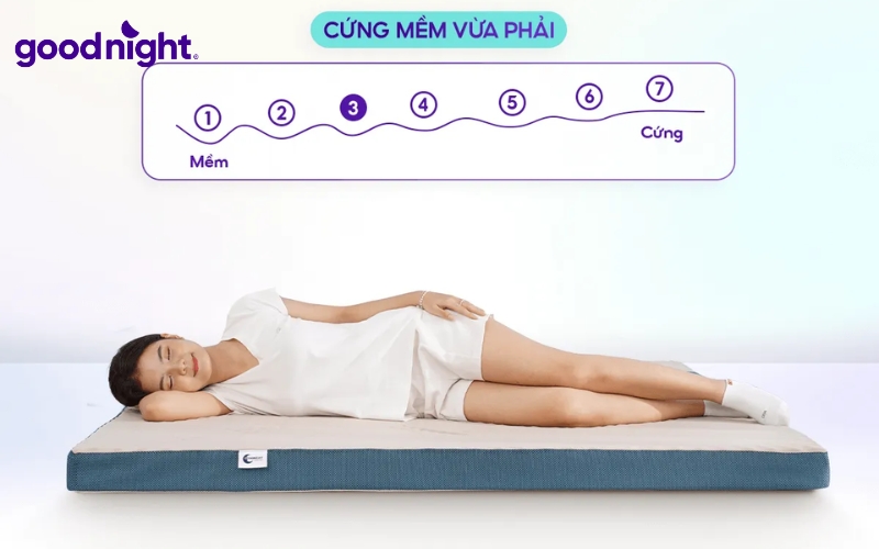 TOP 7 mẫu nệm 1 người nằm chất lượng, tiện lợi 6 Goodnight Massage 1.0