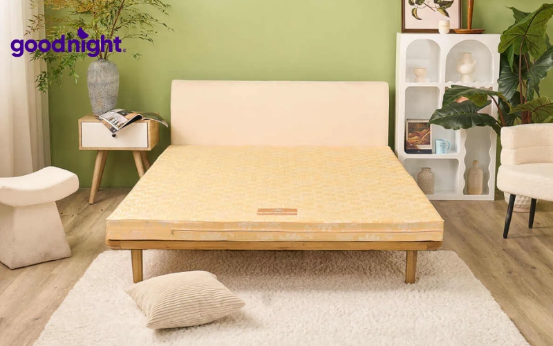 7 mẫu nệm gấp gọn 1 người chất lượng cho phòng trọ, văn phòng 3 Nệm bông ép