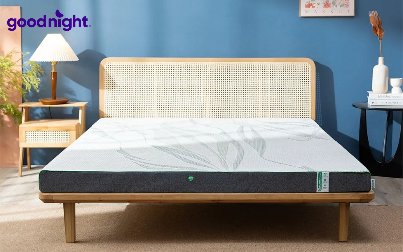 7 mẫu nệm gấp gọn 1 người chất lượng cho phòng trọ, văn phòng 4 Nệm cao su
