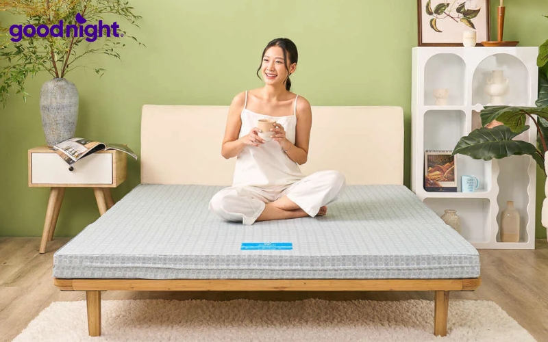 7 mẫu nệm gấp gọn 1 người chất lượng cho phòng trọ, văn phòng 7 Wonjun Pure & Fresh