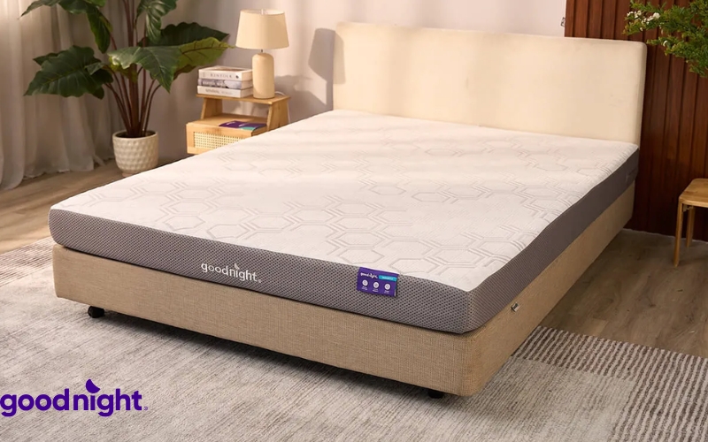 TOP 7 mẫu nệm mát cho người già cho giấc ngủ êm sâu 11 Goodnight hỗ trợ trả góp 0%, giúp khách hàng chủ động ngân sách khi lựa chọn các dòng nệm cao cấp hơn
