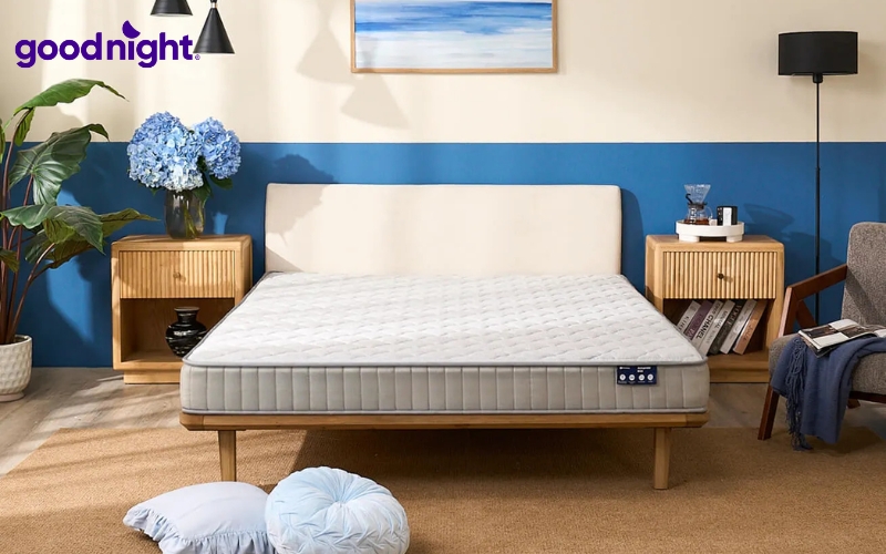 TOP 7 mẫu nệm mát cho người già cho giấc ngủ êm sâu 4 Nệm lò xo túi độc lập