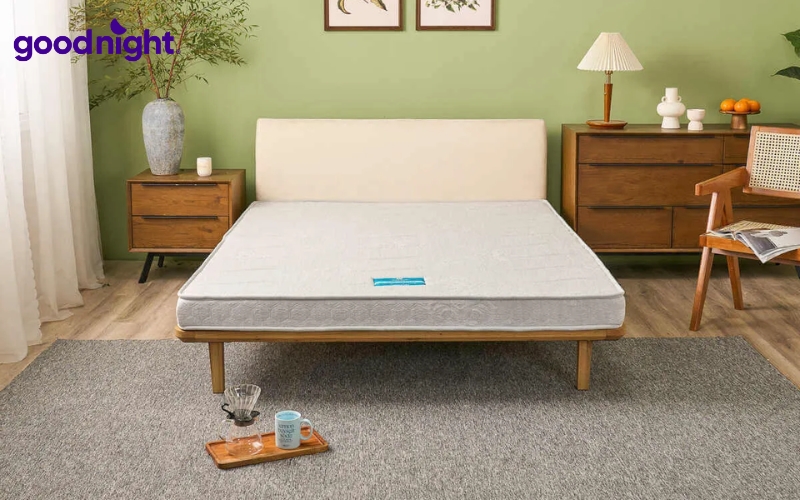 TOP 7 mẫu nệm mát cho người già cho giấc ngủ êm sâu 5 Nệm bông ép