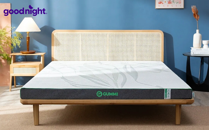 TOP 7 mẫu nệm mát cho người già cho giấc ngủ êm sâu 8 Cao su thiên nhiên